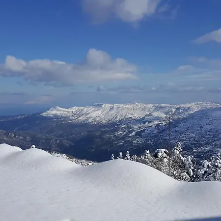 Domek alpejski Aenaon Guesthouse Synikia Mesi Trikalon